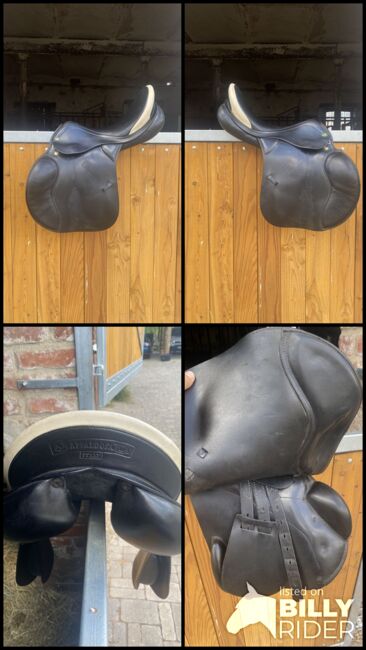 Springsattel Prestige Venezia 17 Zoll, Prestige Venezia, Emma Ohst, Jumping Saddle, Paplitz, Image 8