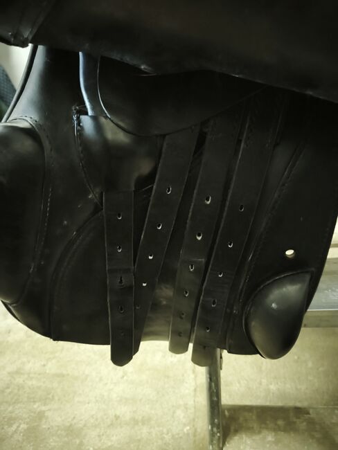 Springsattel Sommer, Sommer Somero  Springsattel , Susanne Remenar, Jumping Saddle, Zeithain , Image 7