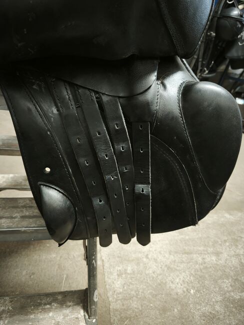 Springsattel Sommer, Sommer Somero  Springsattel , Susanne Remenar, Jumping Saddle, Zeithain , Image 9