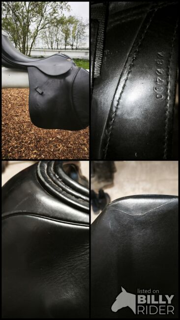 Springsattel Sommer, Sommer Somero  Springsattel , Susanne Remenar, Jumping Saddle, Zeithain , Image 14