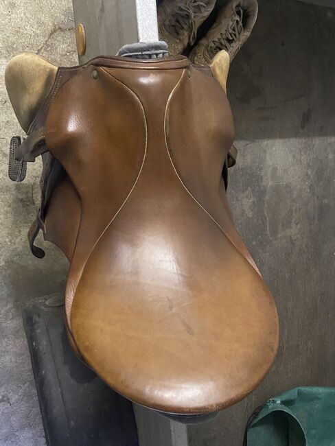 Springsattel stübben, Stübben, Fabi, Jumping Saddle, Eßweiler, Image 3