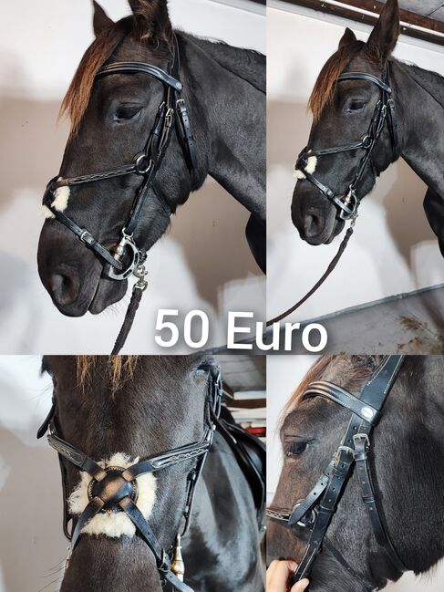 Pferde Zubehör Schabracke Felix Bühler Gamaschen Bandagen halfter decke neu Eskadron HV Polo Gebisse, Felix Bühler HV Polo Eskadron sonstige , Jassi , Dressage Pads, Zossen , Image 11