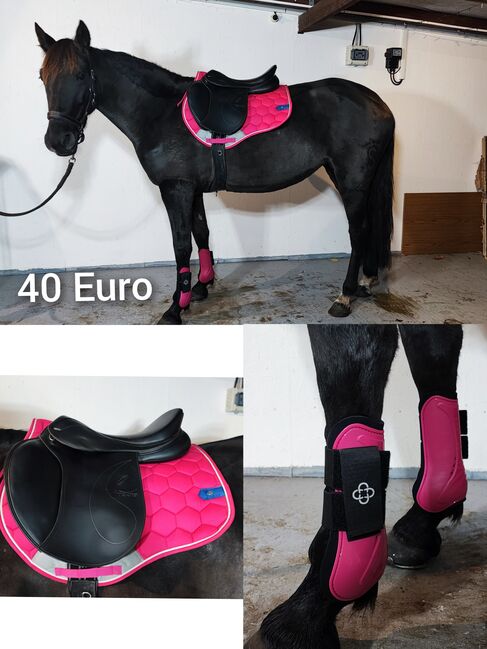 Pferde Zubehör Schabracke Felix Bühler Gamaschen Bandagen halfter decke neu Eskadron HV Polo Gebisse, Felix Bühler HV Polo Eskadron sonstige , Jassi , Dressage Pads, Zossen , Image 12