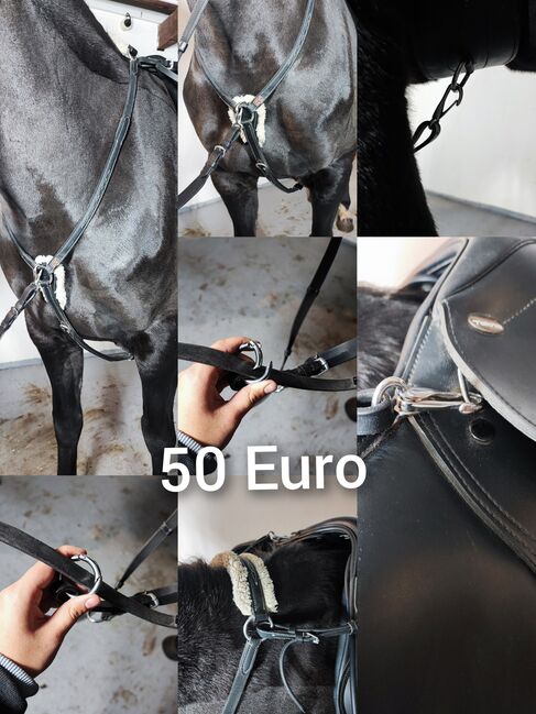 Pferde Zubehör Schabracke Felix Bühler Gamaschen Bandagen halfter decke neu Eskadron HV Polo Gebisse, Felix Bühler HV Polo Eskadron sonstige , Jassi , Dressage Pads, Zossen , Image 19