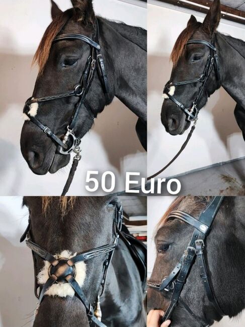 Pferdezubehör Schabracke Felix Bühler Gamaschen Bandagen halfter decke neu Eskadron HV Polo, Felix Bühler HV Polo Eskadron sonstige , Jassi , Tendon Boots, Zossen , Image 7