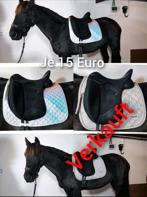 Pferdezubehör Schabracke Felix Bühler Gamaschen Bandagen halfter decke neu Eskadron HV Polo, Felix Bühler HV Polo Eskadron sonstige , Jassi , Tendon Boots, Zossen , Image 10