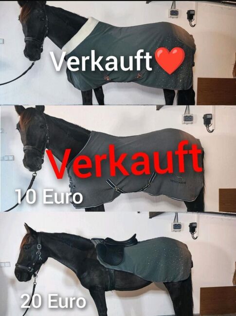 Pferdezubehör Schabracke Felix Bühler Gamaschen Bandagen halfter decke neu Eskadron HV Polo, Felix Bühler HV Polo Eskadron sonstige , Jassi , Tendon Boots, Zossen , Image 13