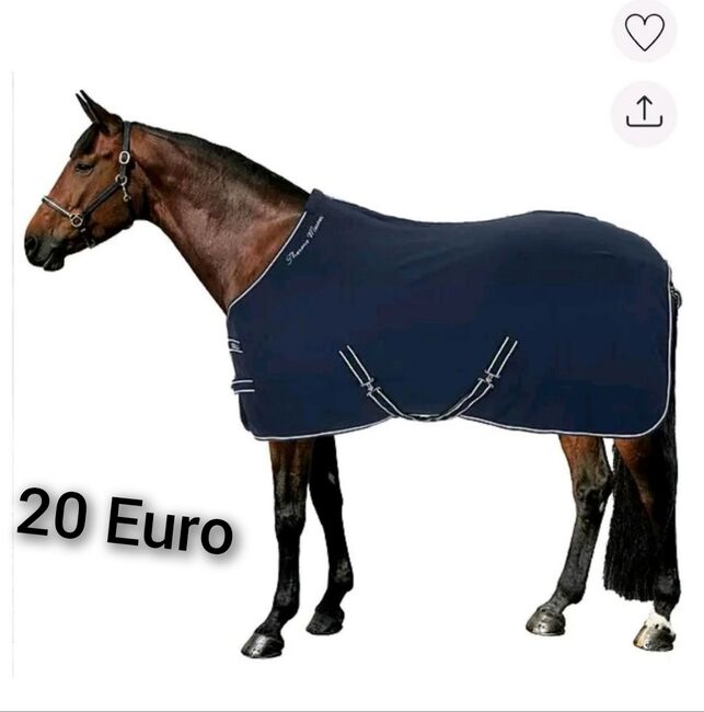 Pferdezubehör Schabracke Felix Bühler Gamaschen Bandagen halfter decke neu Eskadron HV Polo, Felix Bühler HV Polo Eskadron sonstige , Jassi , Tendon Boots, Zossen , Image 2