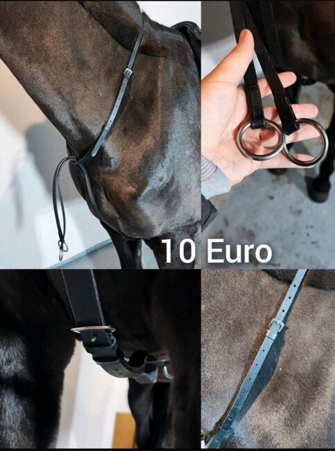 Pferdezubehör Schabracke Felix Bühler Gamaschen Bandagen halfter decke neu Eskadron HV Polo, Felix Bühler HV Polo Eskadron sonstige , Jassi , Tendon Boots, Zossen , Image 6