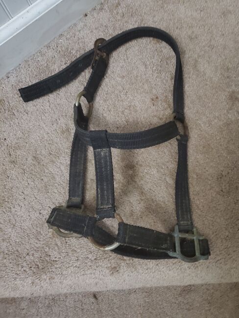 Horse accessories, Heidi Shaw, Western Pads, FOSTER, Image 12