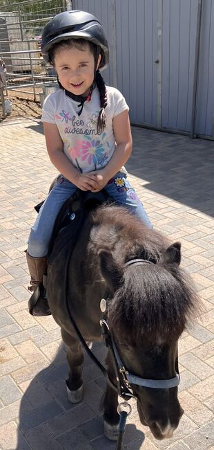 Horse back riding lessons and horse training, Carmen Robinson , Nauka jazdy konnej, Valencia, Image 6