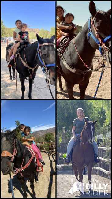 Horse back riding lessons and horse training, Carmen Robinson , Nauka jazdy konnej, Valencia, Image 8