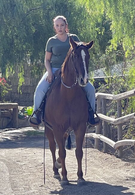 Horse back riding lessons and horse training, Carmen Robinson , Reitunterricht, Valencia, Abbildung 4