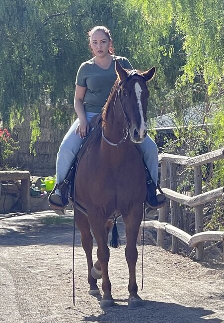 Horse back riding lessons and horse training, Carmen Robinson , Riding Lessons, Valencia, Image 4
