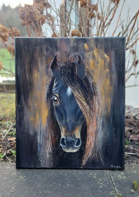 Pferd Schwarz Gold von Kunstlerin direkt, Ola, Horses For Sale, Dallikon