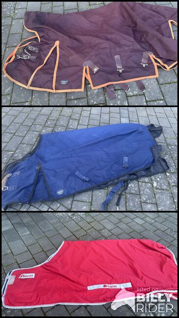 Pferdedecken, Fedimax Übergangsdecke, Elke Sippel , Horse Blankets, Sheets & Coolers, Ringgau, Image 4
