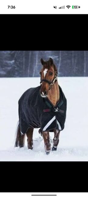 Horse Blankets, Schneider  Adjusta Fit Tekno Fleece, David Pearl, Pozostałe, Cleveland