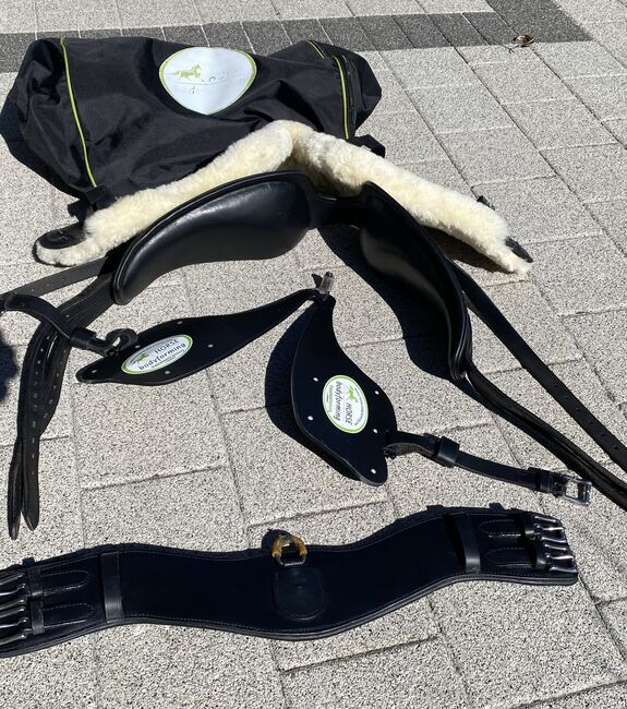 Horse Bodyformer von Franz Grünbeck, Franz Grünbeck Bodyformer, Angelika Goppert, Lonżowanie, LiTZENDORF