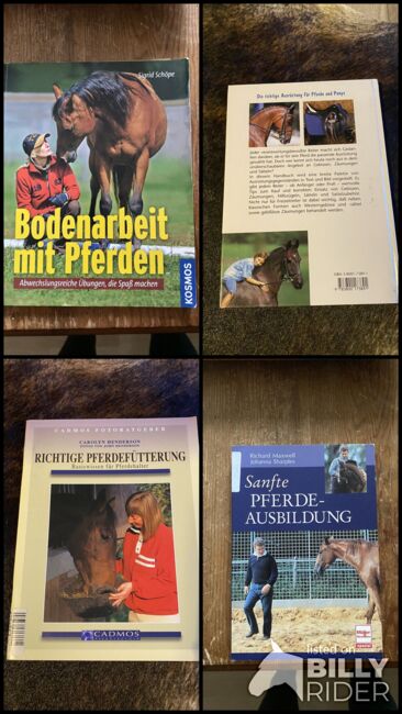 Pferdebücher Bodenarbeit Ausbildung Anfänger Fütterung, Petra Würdinger, Books, Landshut, Image 11