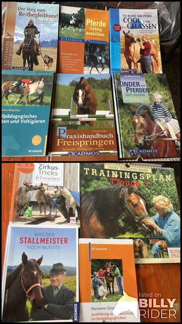 Neuwertige Pferdebücher, Jessica, Books, Crailsheim , Image 3