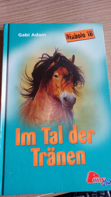 Pferdebücher, PonyClub Pony Club, Jeannine, Books, Wildberg, Image 3