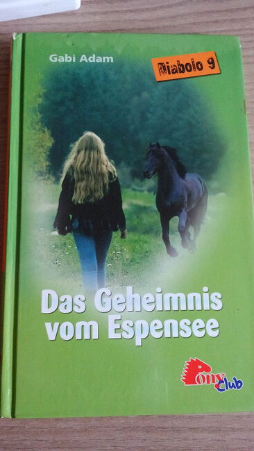 Pferdebücher, PonyClub Pony Club, Jeannine, Books, Wildberg, Image 2