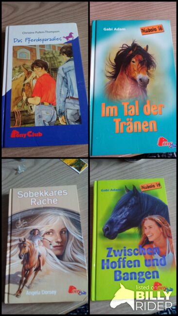 Pferdebücher, PonyClub Pony Club, Jeannine, Books, Wildberg, Image 8