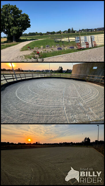 Pferdebox Vollpension, Elisenhof, Horse Stables, Merzenich, Image 4
