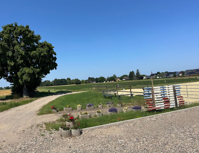 Pferdebox Vollpension, Elisenhof, Horse Stables, Merzenich