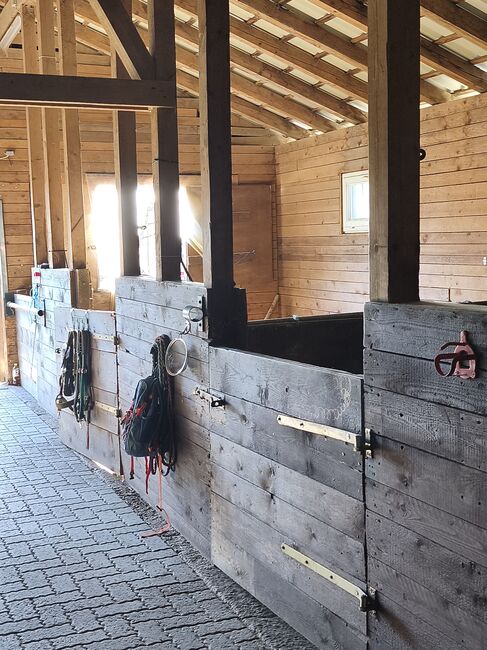 Pferdeboxen zu vermieten, Colombo , Horse & Stable Mats, Kreuztal, Image 2