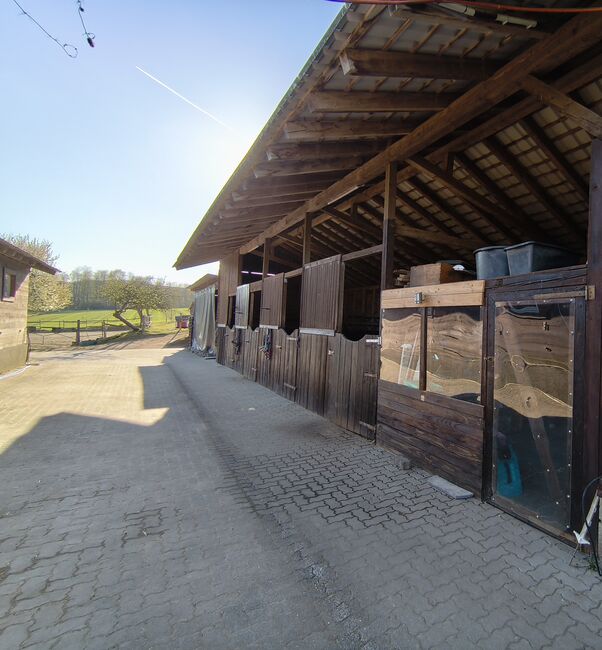 Pferdeboxen zu vermieten, Colombo , Horse & Stable Mats, Kreuztal, Image 5