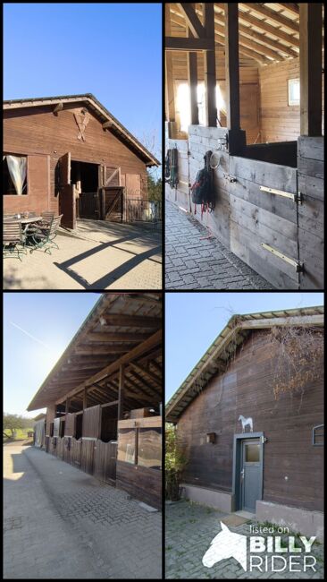 Pferdeboxen zu vermieten, Colombo , Horse & Stable Mats, Kreuztal, Image 7