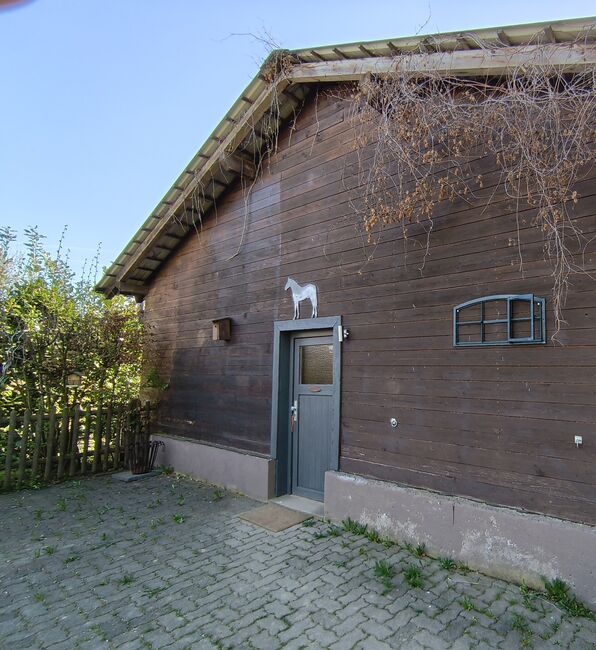 Pferdeboxen zu vermieten, Colombo , Horse & Stable Mats, Kreuztal, Image 4
