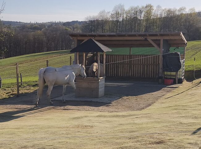 Pferdeboxen zu vermieten, Colombo , Horse & Stable Mats, Kreuztal, Image 3