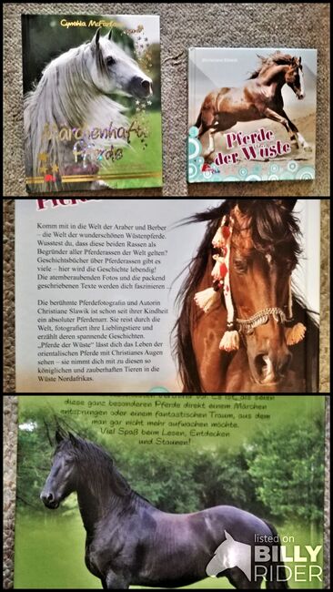 Pferderassen Bücher (Märchenhafte Pferde, Pferde der Wüste), CN, Books, Altusried, Image 4