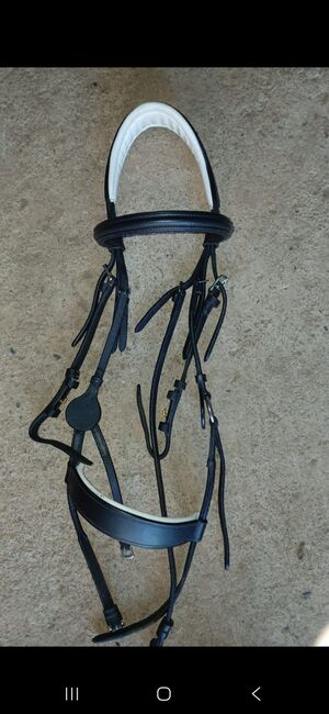 Horse bridle for sale, Filippa, Other, Gauteng krugersdorp 