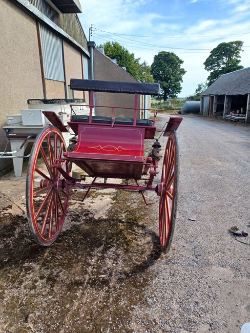 Horse cart, Peter , Carriages, Kirriemuir hi