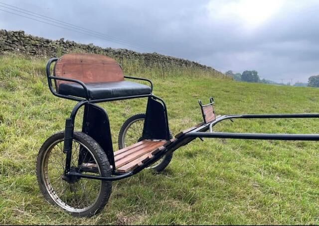 Horse Cart, Ali, Carriages, Stanhope