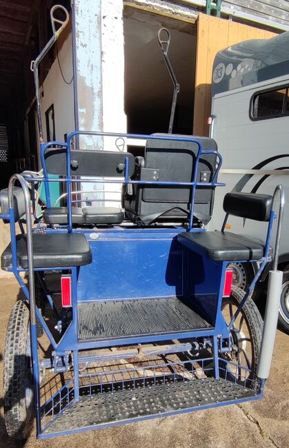 Pferde Kutsche in Top Zustand zu verkaufen - Unfallfrei, Kutzmann, Michèle, Carriages, Seewald, Image 9