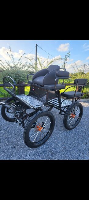 Horse - drawn carriages, XXX Traningswagen (1 horse), MARCIN, Carriages, Krobia