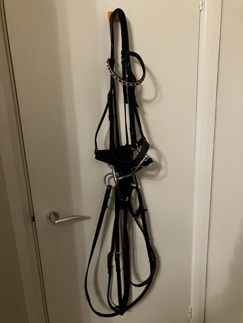 Horse equipment, English Leather, Sandra Hyde, Sonstiges, Surrey