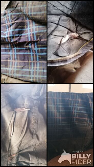 Horse friend outdoor 250 Gramm 145, Sunbeam Ranch! , Horse Blankets, Sheets & Coolers, Kaufbeuren , Image 5