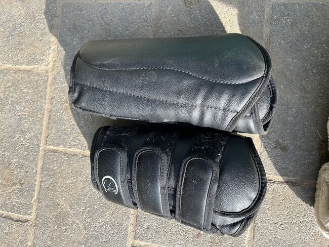 Gamaschen Pferd, Lea , Tendon Boots, Nottuln, Image 2