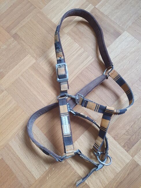 Pferdehalfter Warmblut, V.F., Nosebands, Freiberg am Neckar 