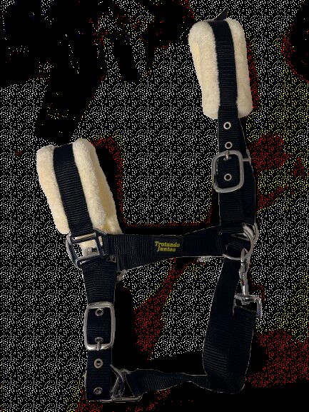 licol pour cheval avec peau de mouton, Trotando Juntos, Maite (Productos Ecuestres Trotando Juntos S.L), Halters, Palau solita y plegamans