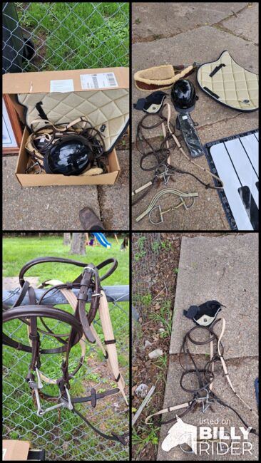 Horse Items For Sale ASAP!!!, Victoria , Other, Riesel, Image 6