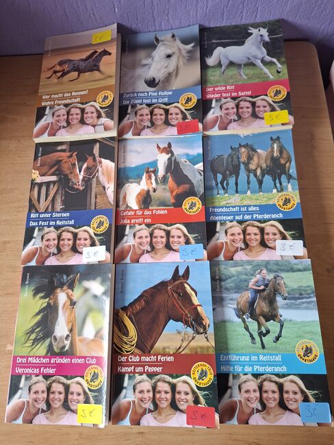 Pferd Romane zu verkaufen, Simone Placke, Books, Wallenhorst, Image 3