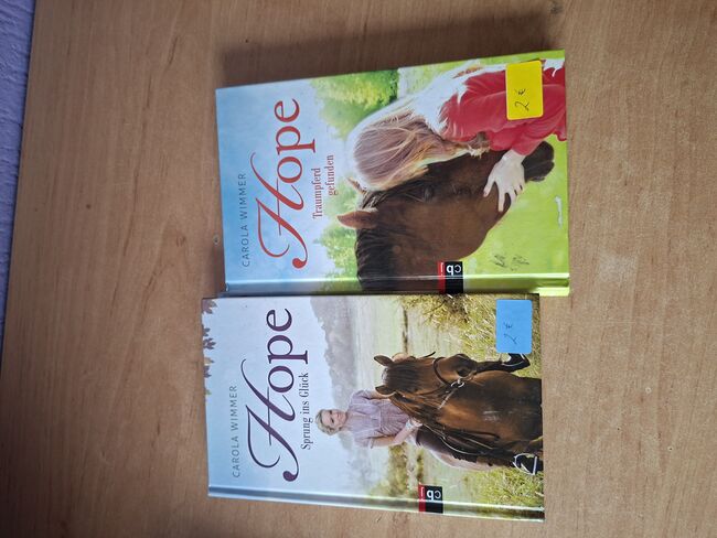 Pferd Romane zu verkaufen, Simone Placke, Books, Wallenhorst, Image 12