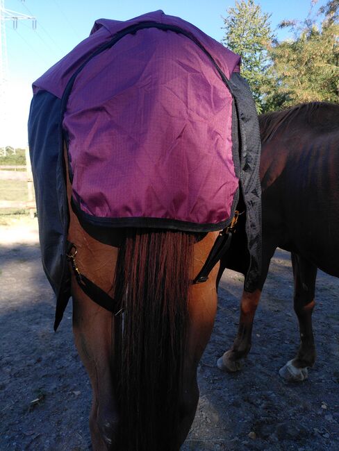 Pferde Outdoor Winterdecke/Führanlagendecke/NEU, Abbie L., Horse Blankets, Sheets & Coolers, Walzbachtal, Image 9