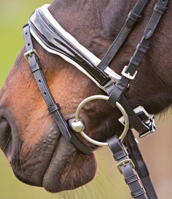 Horse and Passion Trensenzaum Saint-Étienne, Cob, Horse and Passion by Kieffer Trensenzaum Saint Étienne, M.Becker, Bridles & Headstalls, Neunkirchen am Potzberg, Image 4